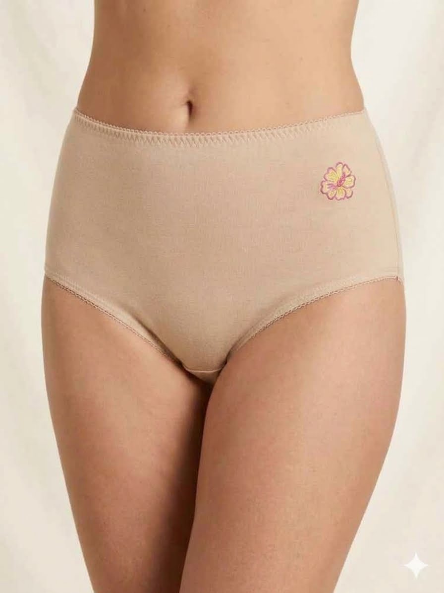 classic full-coverage brief