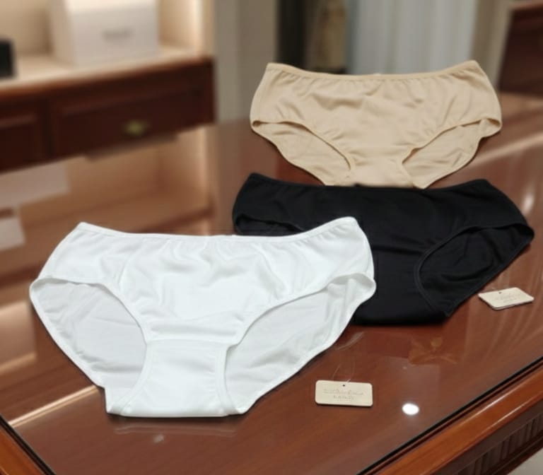 Women's Brief-Style Panties Undergarments -High Waist