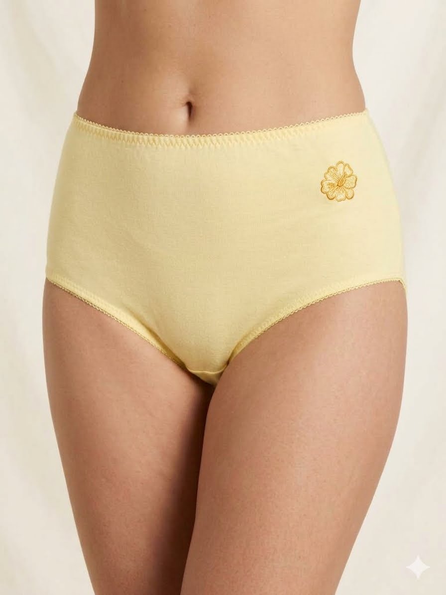 classic full-coverage brief