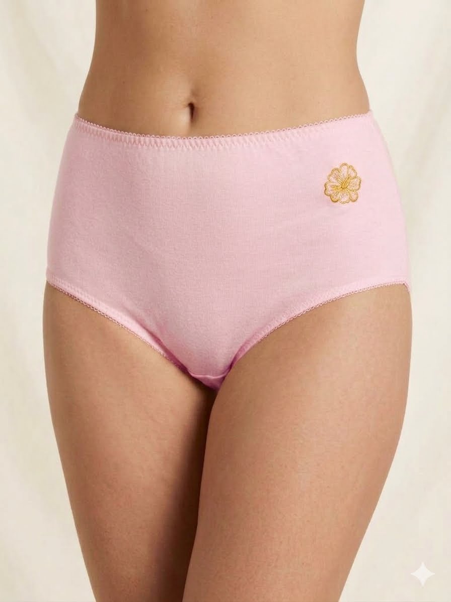 classic full-coverage brief