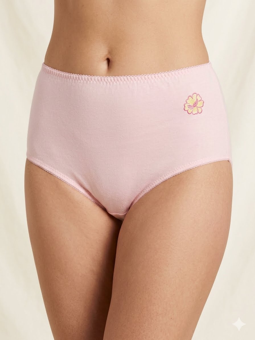 classic full-coverage brief